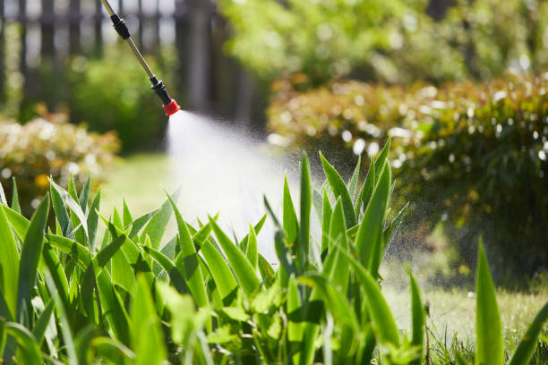 24/7 Emergency Wasp Removal experts in Jenison, MI