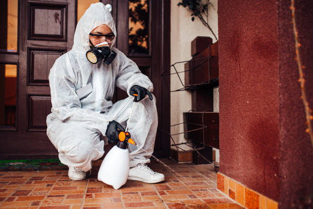 Reliable Wasp Removal contractor in Jenison, MI by Show Me Pest Control